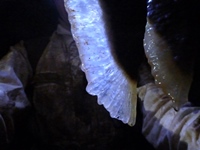 Jenolan Cave photo 1